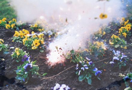 Wehrmann_Blumensprengungen_1991-95 (2).jpg